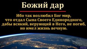Божий дар ♥️🙏 Проповедь МСЦ ЕХБ