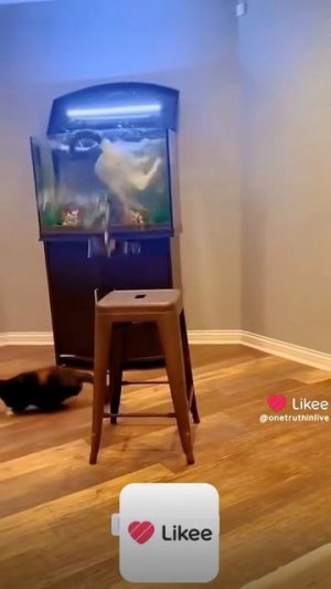 😂😂🤣😂😂🤣🤣😂😂🤣🤣😂😂🤣🤣🤣