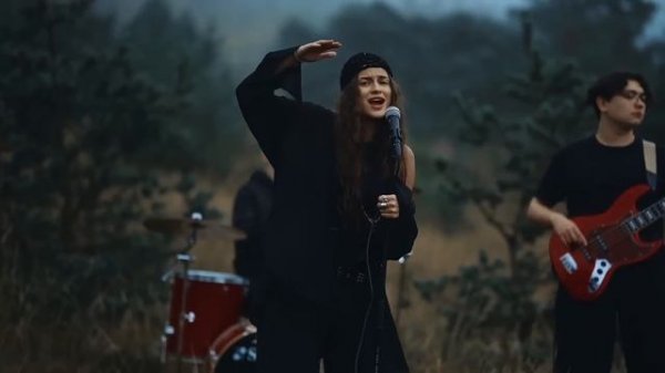 Тень Валькирии.