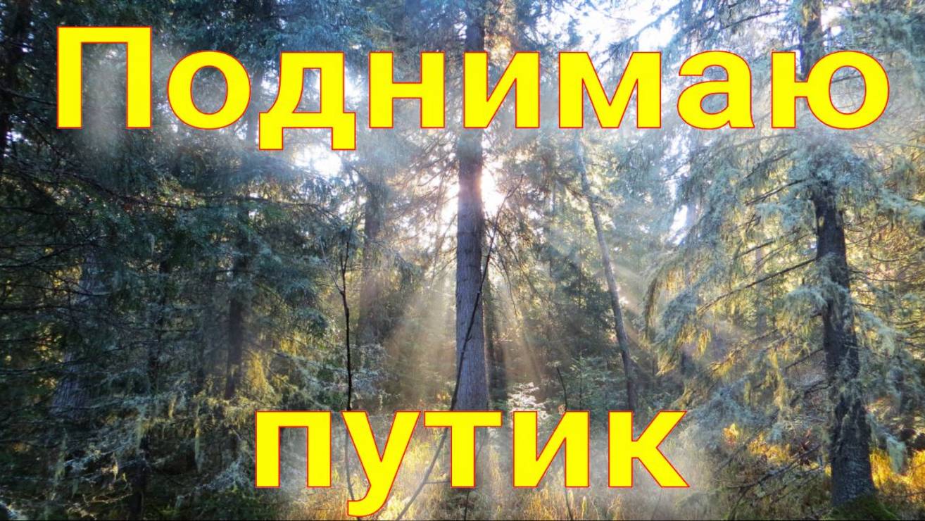 Поднимаю путик готовлю установки к сезону дошёл до избушки все порядке медведи не спят много шишки смотреть онлайн
