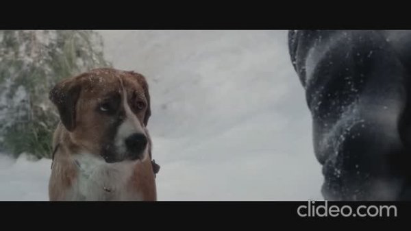 DJ EV А Вертинский - О моей собаке