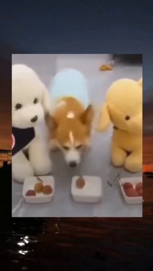 Обиделся 😂