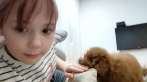 как сделать команду стульчик ап и места