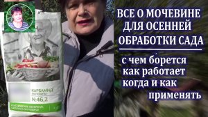Обработка сада осенью  мочевиной очистит деревь