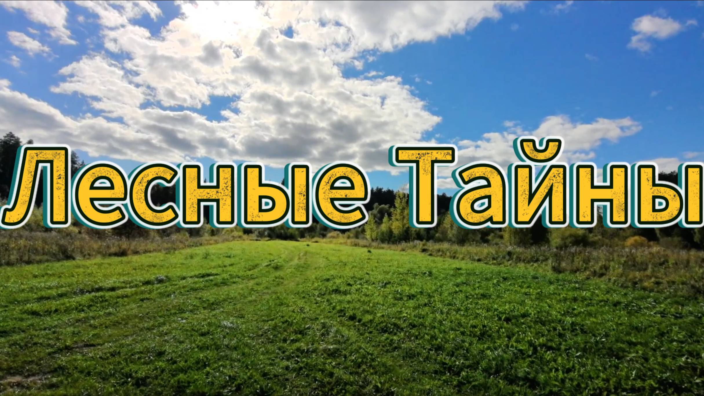 Лесные тайны: от муравейника до горизонта смотреть онлайн