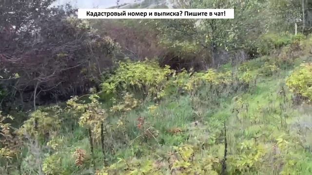 Малиновка_new смотреть онлайн