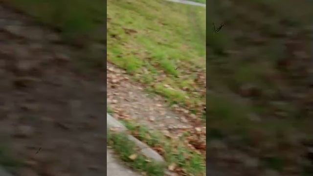 lolokolp7447 смотреть онлайн