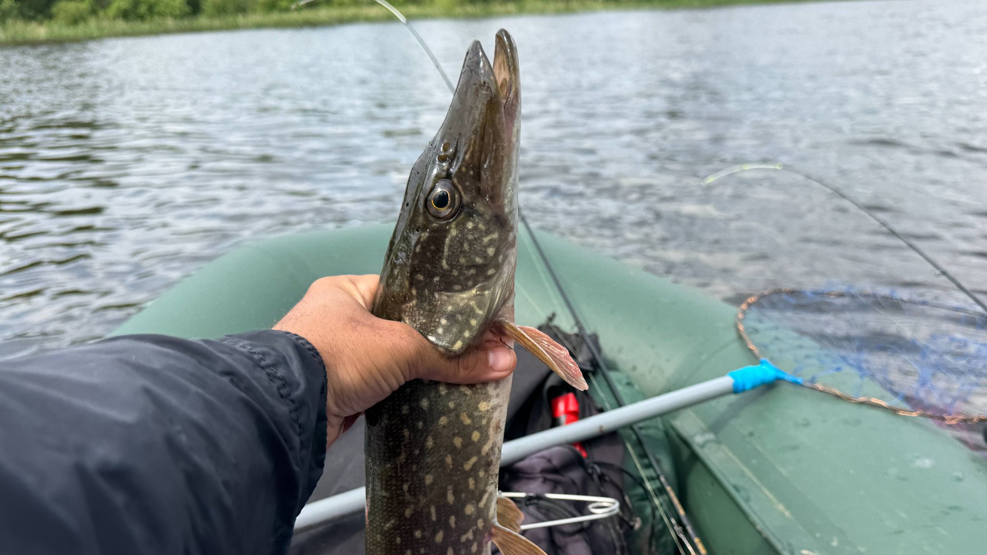 Рыбалка на спиннинг. Рыбалка на спиннинг с лодки. Рыбалка на щуку. Рыбалка на блесну. Блесна.