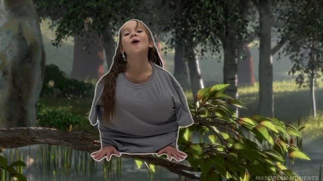 райская птичка