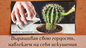 Выращивая свою гордость, навлекаем на себя искушения