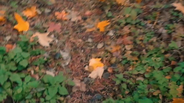 Трейлер номер 2 Андрей возвращение канала 2 PART