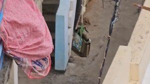 Что они делают_ Они мне так дом сожгут! Продолжаем расхламляться и украшать съемное жильё.