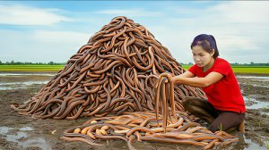 Собирают угрей и везу их на сельский рынок для продажи. Жизнь во Вьетнаме