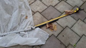 Защита голубики Пинк Лимонад от мороза