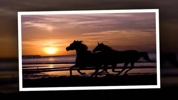 Moira O'Callahan - Magic Moon