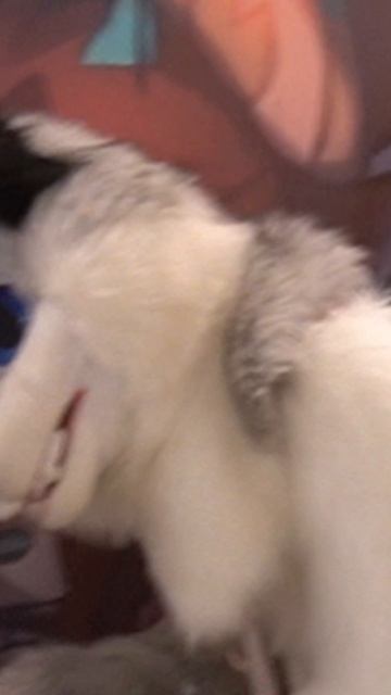 Twitch: EricMyval Мастер маскировки смотреть онлайн