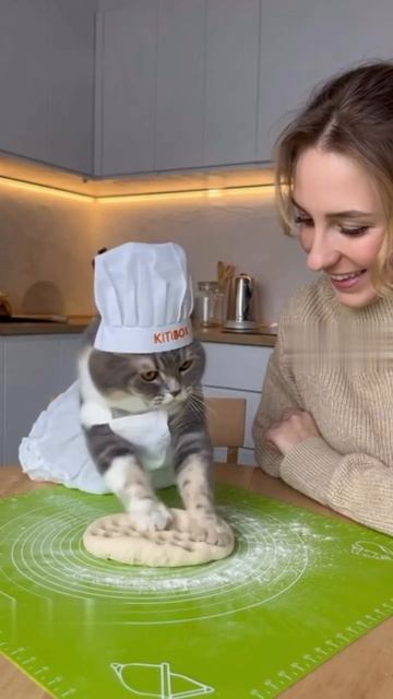 AQNVE_fEBOn2-Oln8CYyCrThW7aLCVemj8Xws3A_scVY1wGAMj1IhhWF082gD8e-vu257BK_LZJ2GCYv