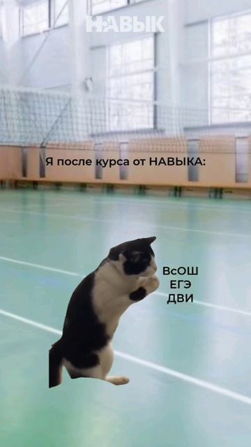 Наши ученики после курса