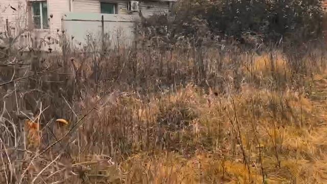 Продаётся жильё площадью почти 40 м² в центре города Старый Оскол, недалеко от реки. смотреть онлайн