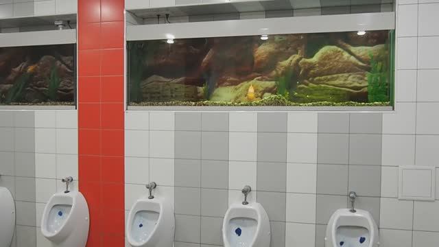 Саратов - креативный туалет на вокзале. смотреть онлайн