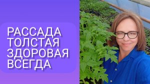 Как посадить рассаду грамотно.Проверено