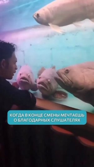 Немного нашего проф юмора)) Знакомо? 😅