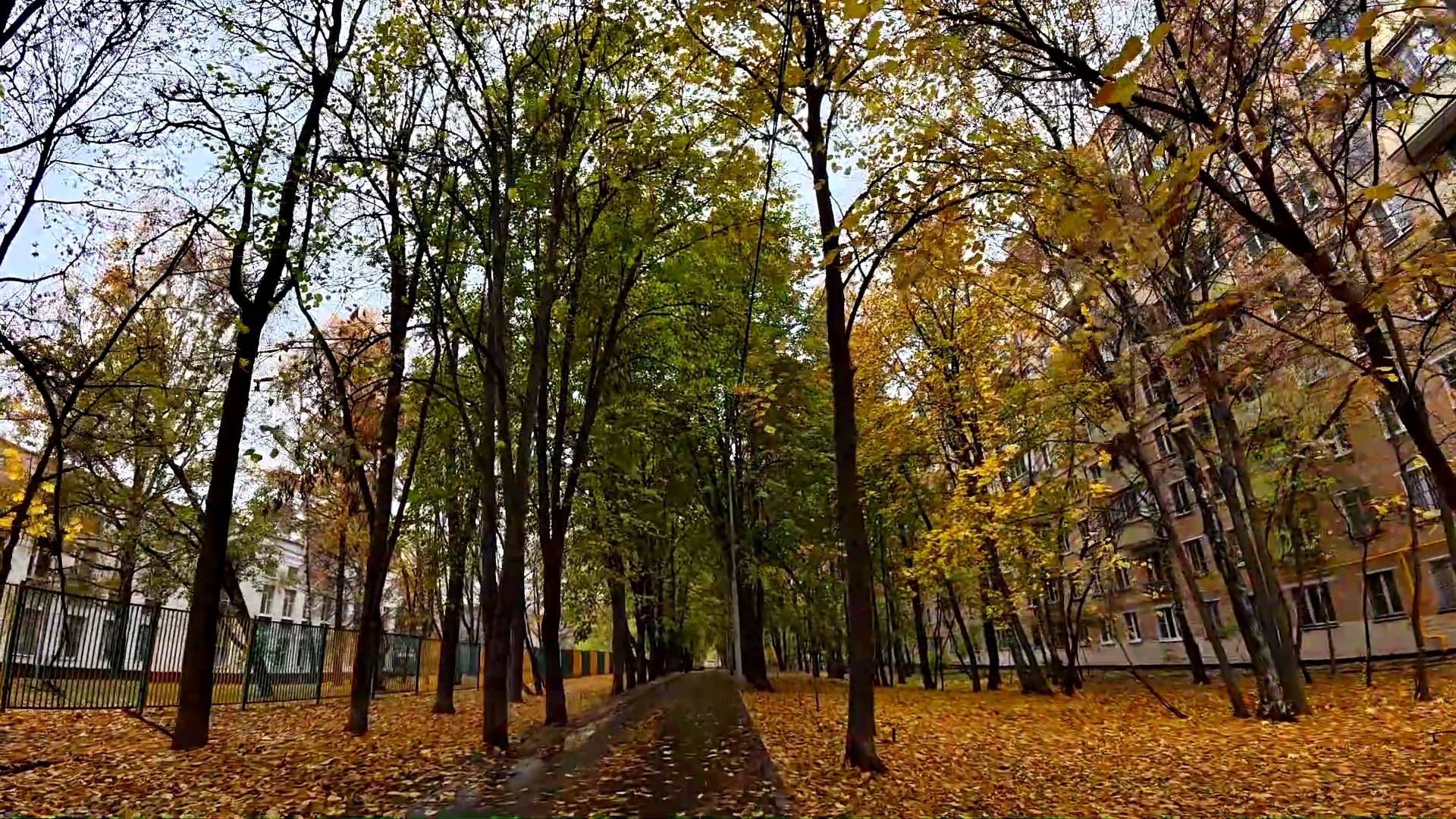 ДВОРЫ МОСКВЫ ОСЕНЬЮ. ПРОГУЛКА ПО ГОРОДУ. Часть 4. смотреть онлайн