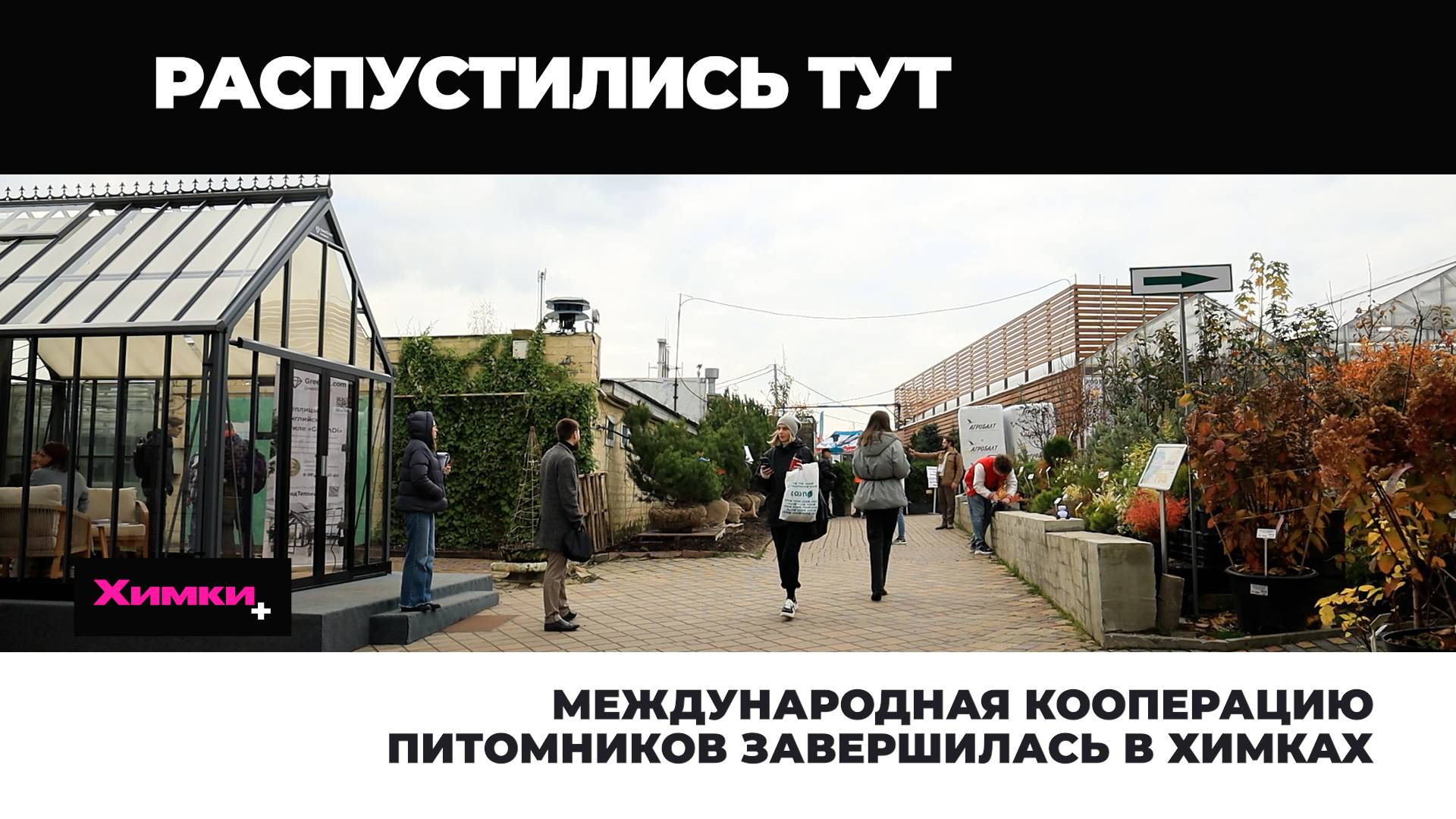 МЕЖДУНАРОДНАЯ КООПЕРАЦИЮ ПИТОМНИКОВ ЗАВЕРШИЛАСЬ В ХИМКАХ смотреть онлайн