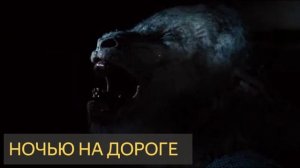 Ночью на дороге (Мистическая история)