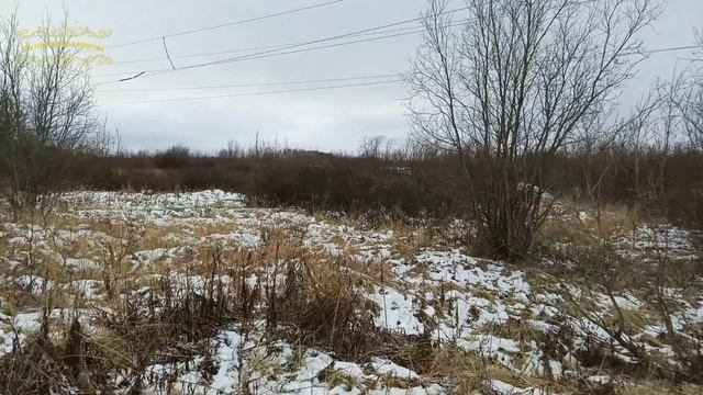 Воркута. 20.10.25. Поселок Малых шахт, поселок Тундровый, поселок Южный. смотреть онлайн