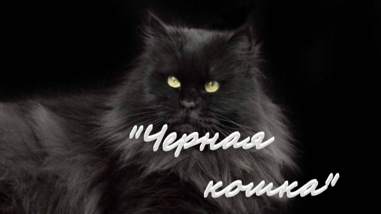 "Черная кошка" Каждую пятницу в 18:00 новый захватывающий рассказ! Подписывайтесь и не пропустите! смотреть онлайн