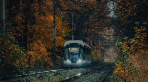 Трамваи «Витязь-М»  №31057 №31274 спешат по Осеннему Измайловскому парку