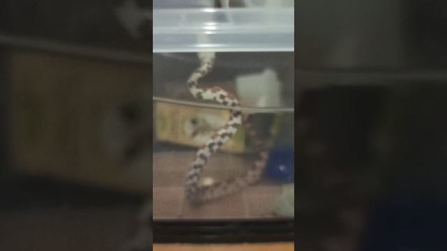 Наша обстановочка... 22 октября 2025 г. смотреть онлайн