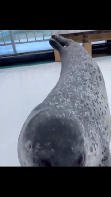 тыщ смотреть онлайн