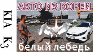 KIA K3 2024 года выпуска из КОРЕИ