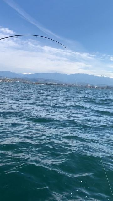 Ловим мерланга в Адлере. смотреть онлайн