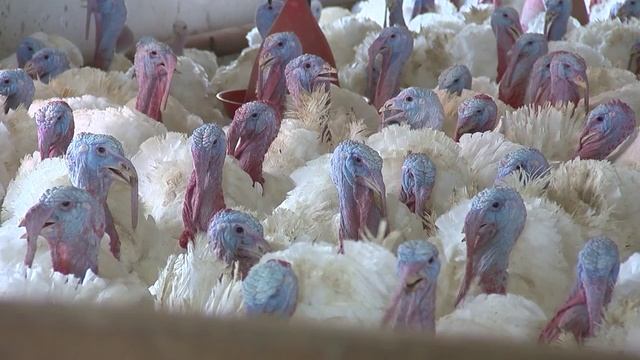 «Земля и люди» — 10.10.2025