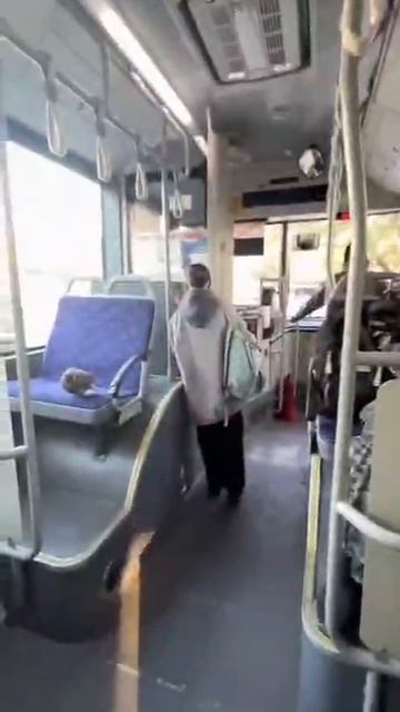 В связи с похолоданием голуби Владивостока перешли на наземный транспорт