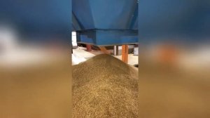 Сушка пивной дробины, барды, отходов производства. Сушилка для молока.