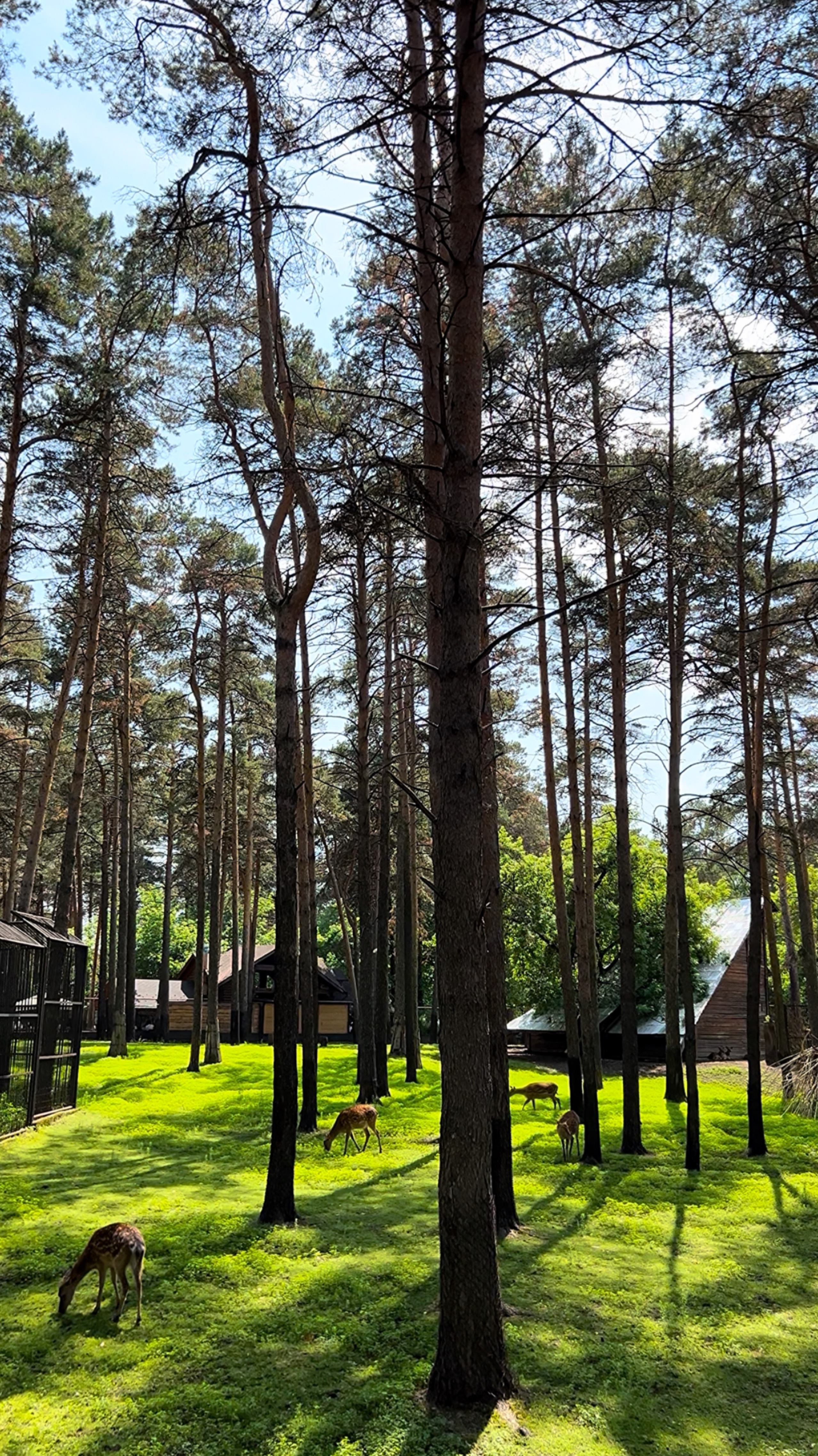 Новосибирский зоопарк