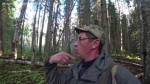 Рыбалка на окуня с лодки. Меткий выстрел по уткам. Как у них так получается маскироваться. 3 серия