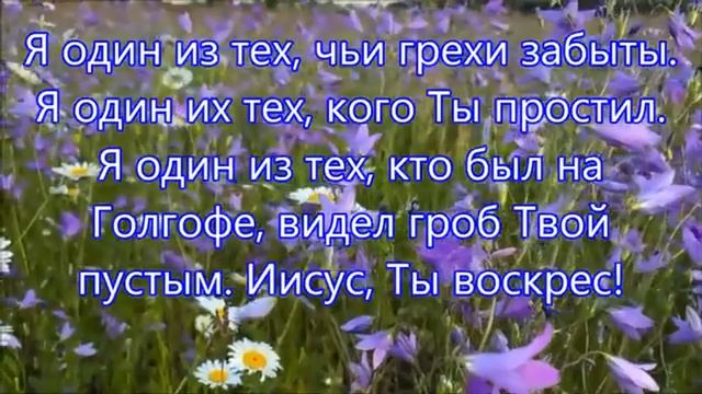 Я один из тех,кого Ты заметил (караоке) смотреть онлайн