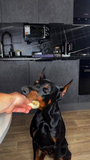 Так и случаются потопы смотреть онлайн