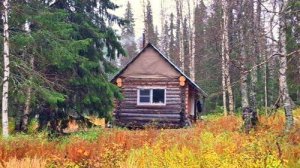 Сбор клюквы и варка морса. Жизнь в избе осенью.