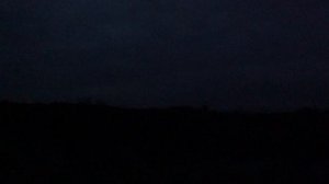 Отличная охота на утку, кряковая прет 2025