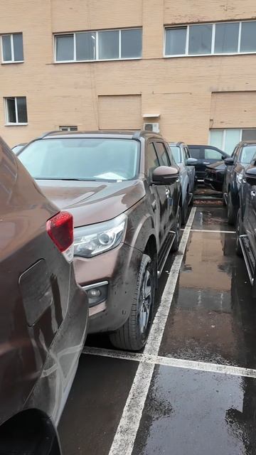 🏆 OTING PALADIN В НАЛИЧИИ! смотреть онлайн