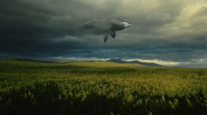 Хабаровский край