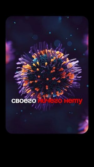 Противовирусные бесполезны? | Глеб Соломин, Гельфанд