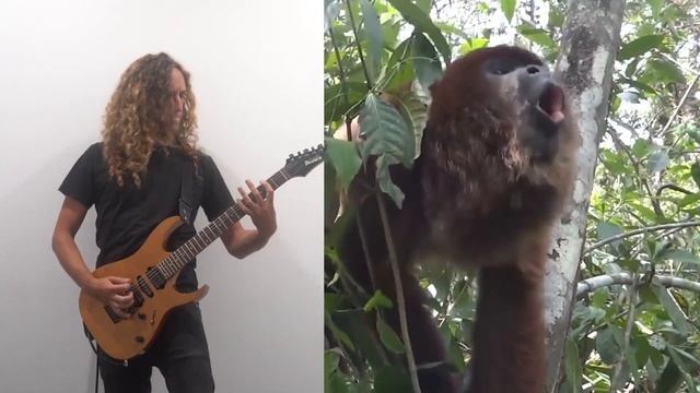 #63 Music Andre Antunes - The howler monkey song смотреть онлайн