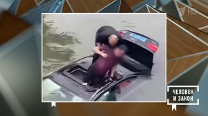 Видео недели: храбрый альпинист; неравная схватка; счастливое спасение. Человек и закон. Фрагмент...